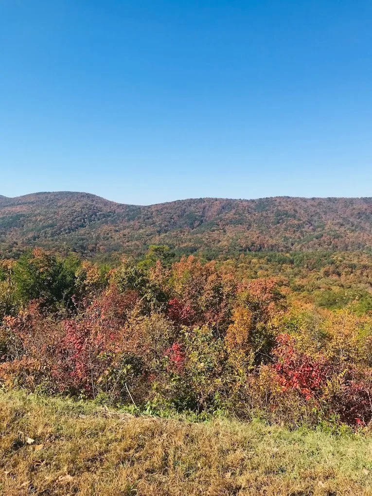 rv parks near anniston alabama​